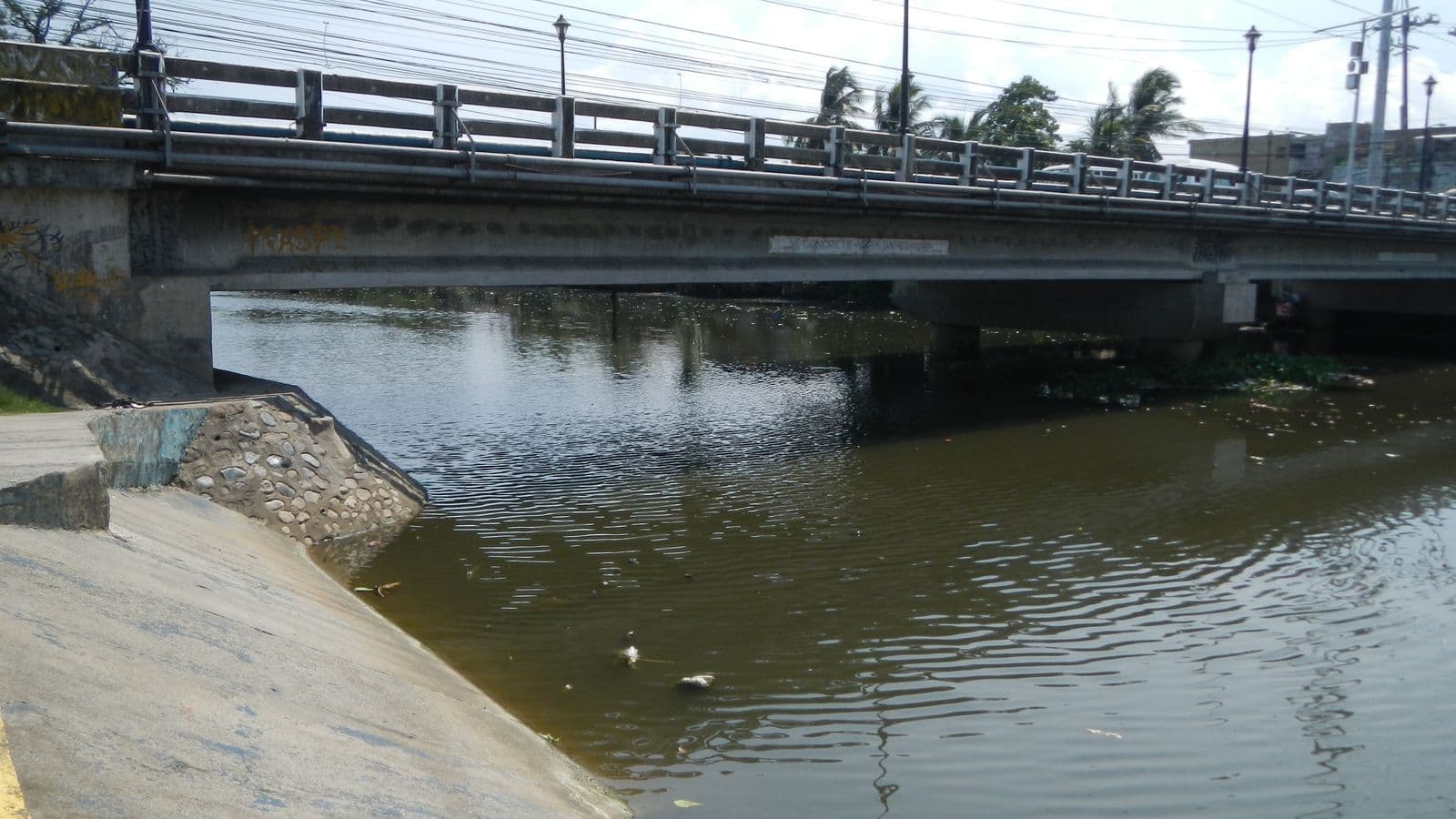 Fact Check: How Many Flagged Flood Control Projects Are Actually "Ghost" Projects?