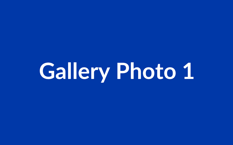 Gallery Photo 1